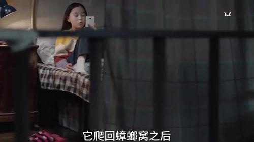 台湾姐姐爆料视频大全集,揭秘娱乐圈幕后真相  第1张